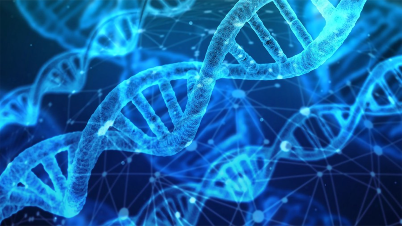 Bioinformatics