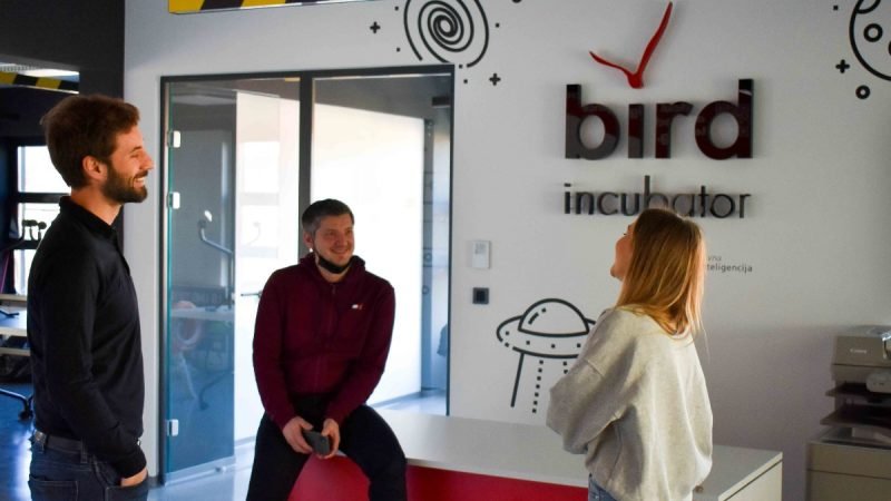 Bird 1p