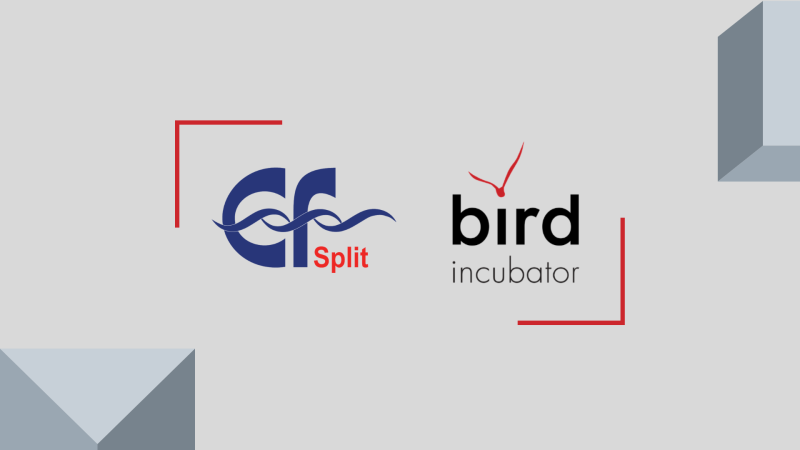 EF Split-BIRD
