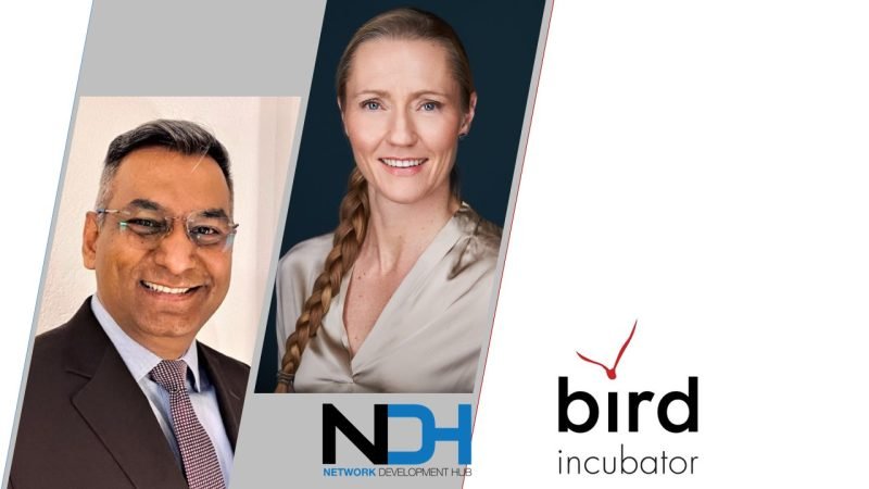 NDH Bird v1