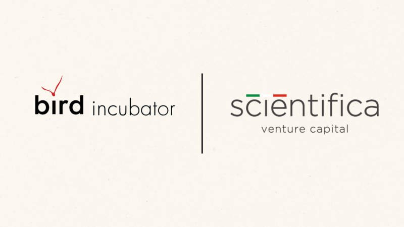 BIRD Incubator Scientifica VC