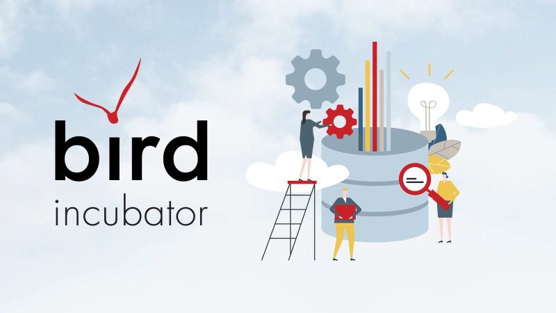 BIRD Incubator